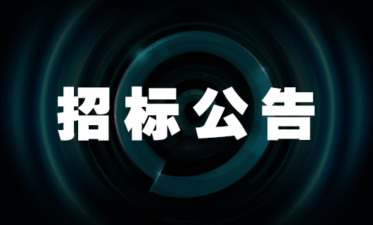 2025年广东星空官方网站/app/ios/安卓/在线/注册,科技集团股份有限公司安装服务项目-招标公告